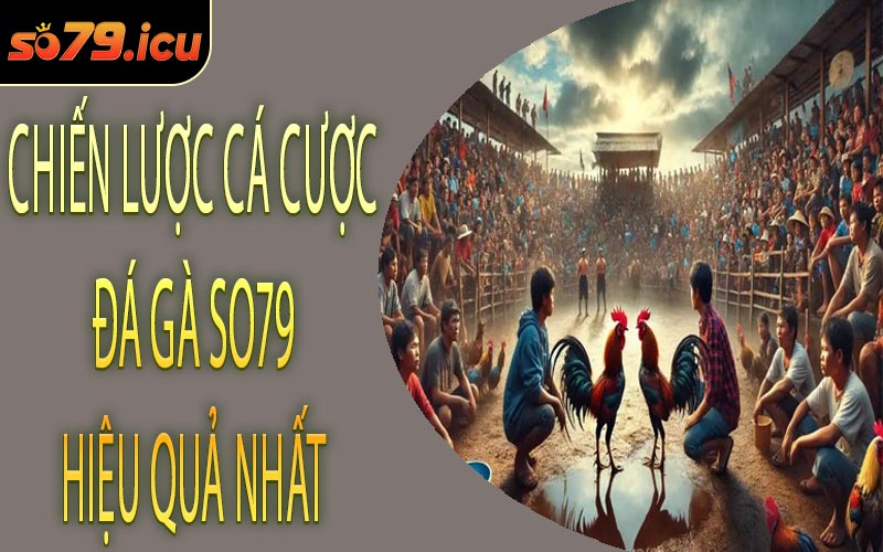 Chiến Lược Cá Cược Đá Gà SO79 Hiệu Quả Nhất