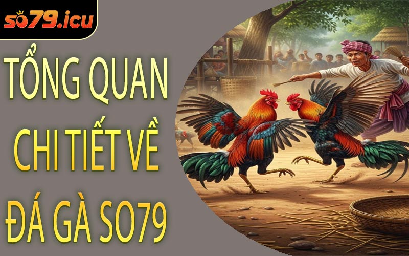Tổng Quan Chi Tiết Về Đá Gà SO79